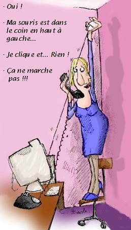 souris