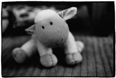 nounours