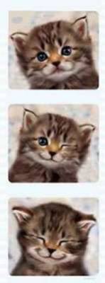 chat