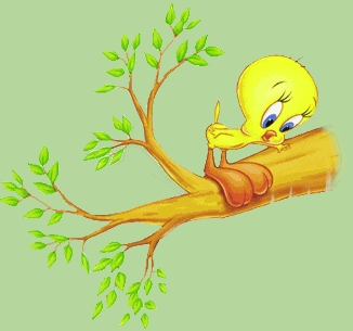 tyti sur une branche